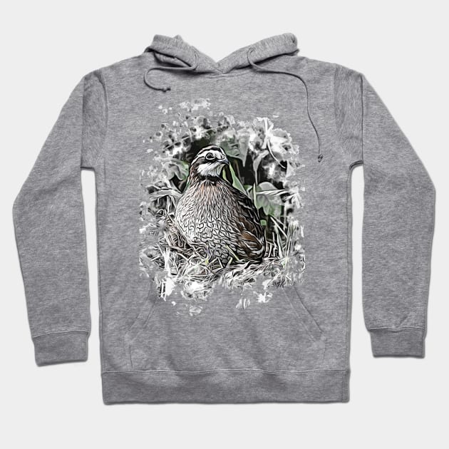 Northern Bobwhite Hoodie by Ripples of Time